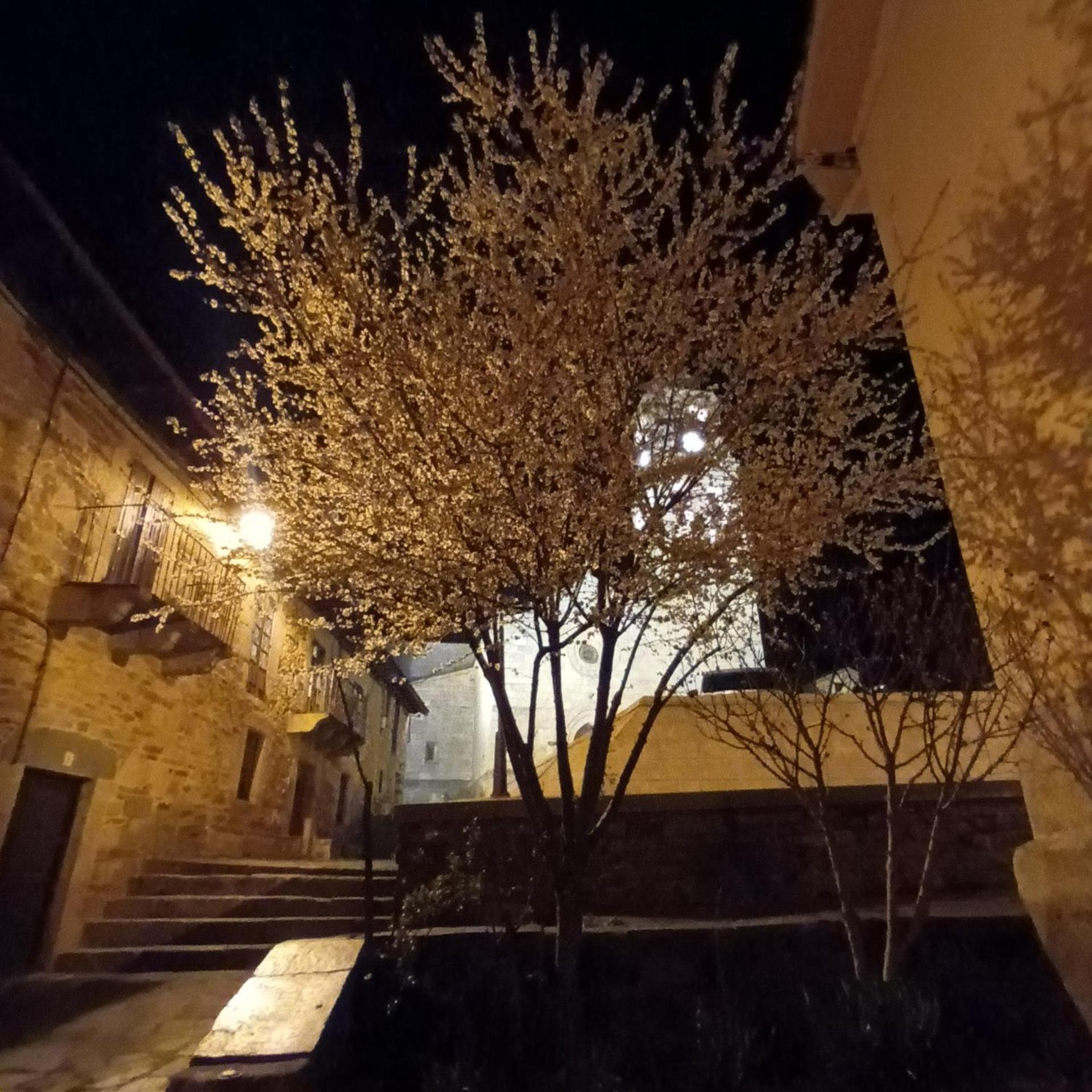 La Artesonada Casa Con Finca Villa Puebla de Sanabria Eksteriør bilde
